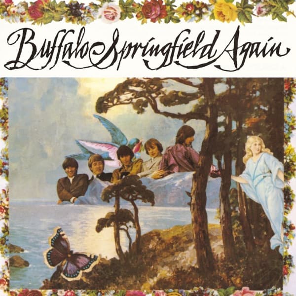 Buffalo Spring Field – Buffalo Spring Field Again vinyl cover art