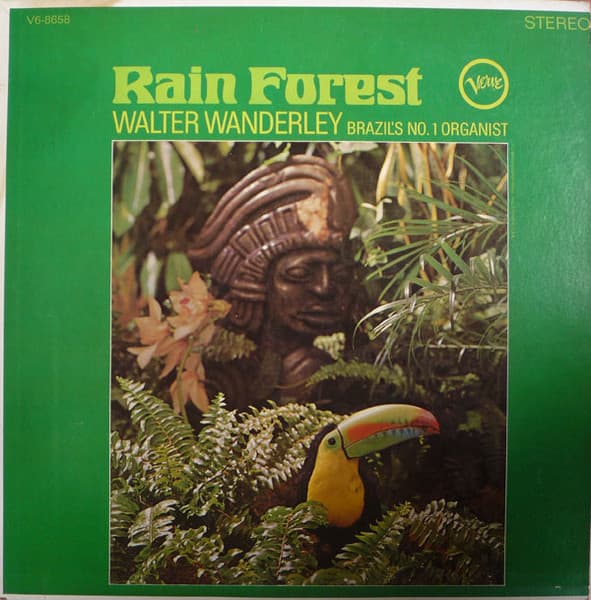 Rain Forest