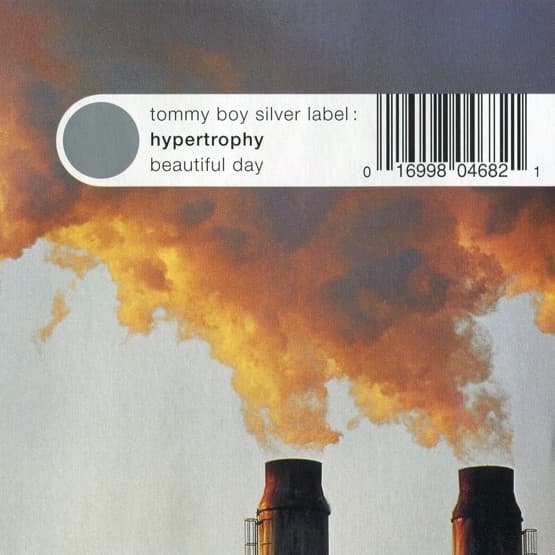 Hypertrophy – Progressive House - Beautiful Day vinyl cover art