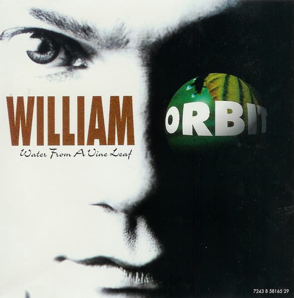 William Orbit – Trance - Water From A Vine Leaf vinyl cover art