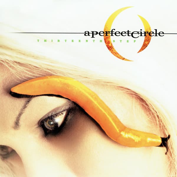 A Perfect Circle – Thirteenth Step vinyl cover art