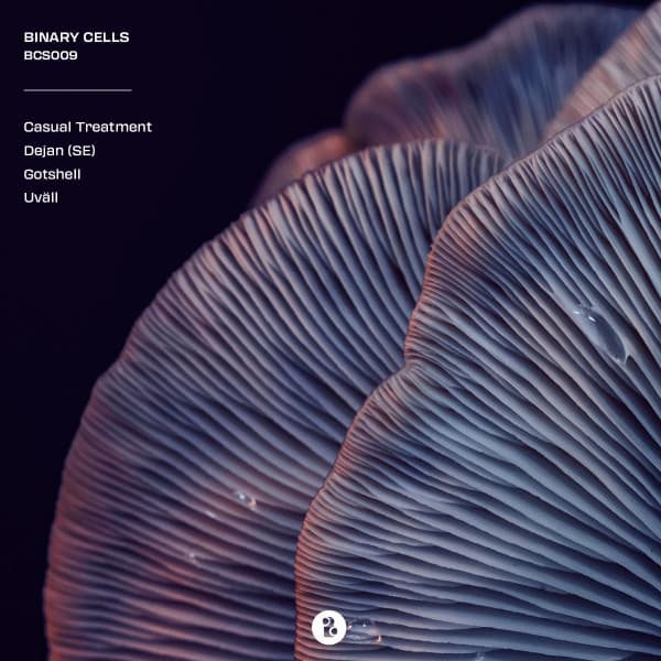 Various – Techno - Bcs009 vinyl cover art