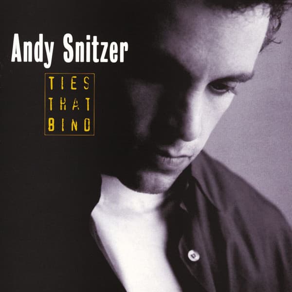 Andy Snitzer – Ties That Bind vinyl cover art