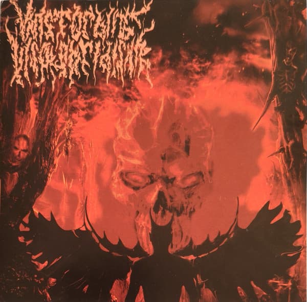 Vanstorbing Insolobridishn – Vanstorbing Insolobridishn vinyl cover art