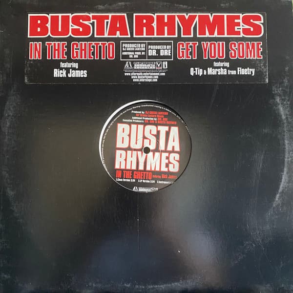 Busta Rhymes, Rick James, Q-Tip, Marsha Ambrosius – Get You Some vinyl cover art