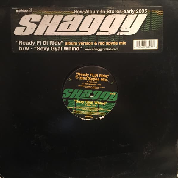 Shaggy – Ready Fi Di Ride vinyl cover art