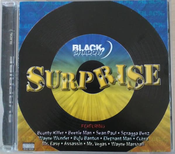 Various – Surprise vinyl cover art