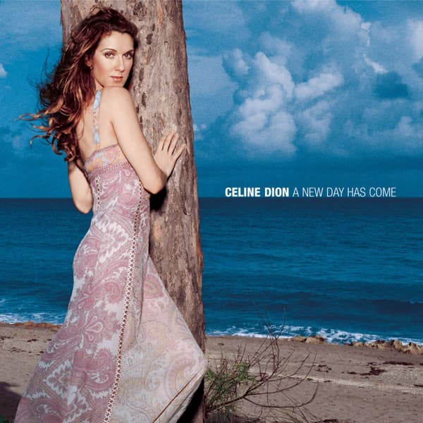 CéLine Dion – A New Day Has Come vinyl cover art