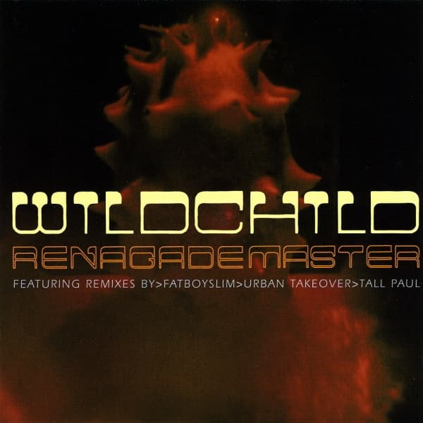 Wildchild – House - Renegade Master vinyl cover art