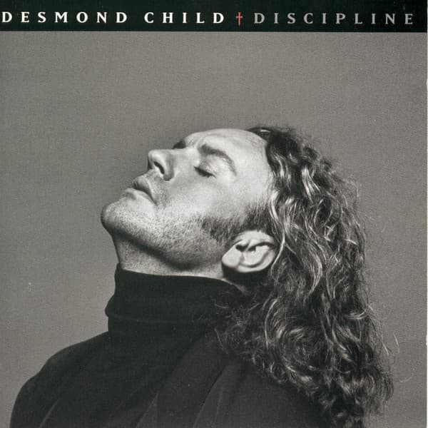 Desmond Child – Discipline vinyl cover art
