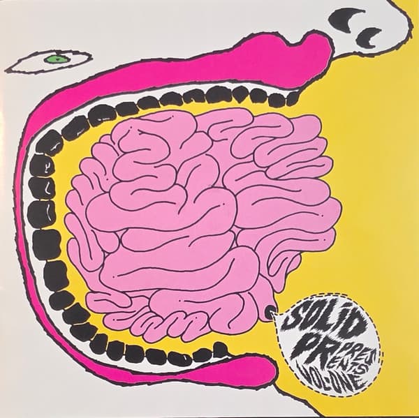 Various – Solid Pr Presents: Vol. 1 - A Benefit For The National Ms Society vinyl cover art