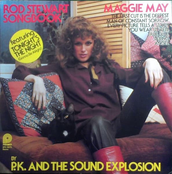 P.K. And The Sound Explosion – Rod Stewart Songbook vinyl cover art