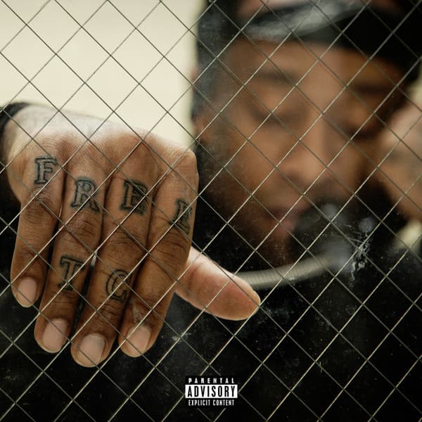 Ty Dolla $Ign – Free Tc vinyl cover art