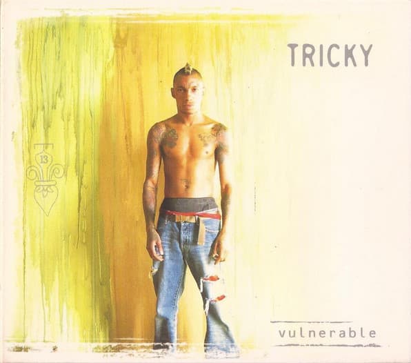 Tricky – Downtempo - Vulnerable vinyl cover art