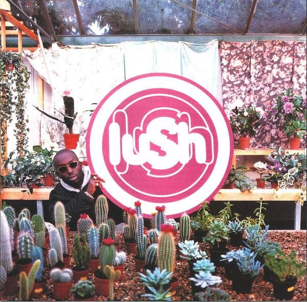 Lush – Lovelife vinyl cover art