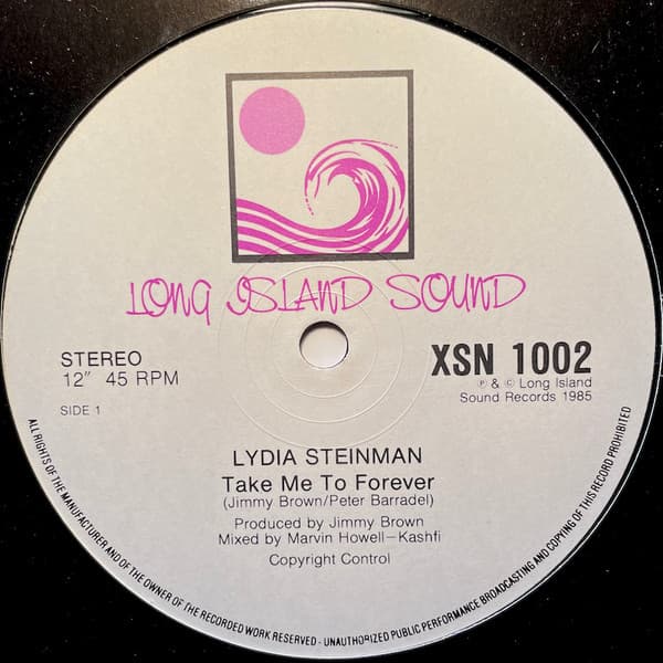 Lydia Steinman – Hi Nrg - Take Me To Forever vinyl cover art