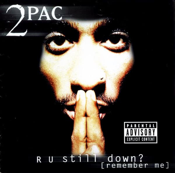 R U Still Down? [Remember Me]