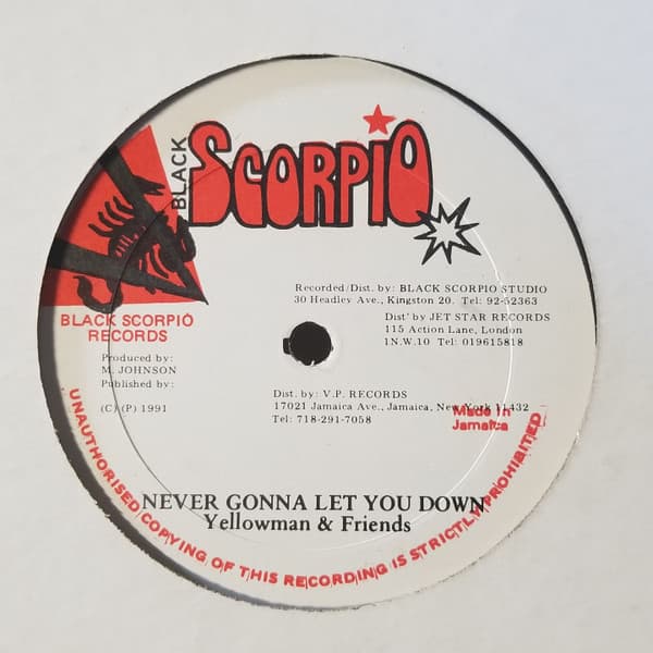 Never Gonna Let You Down