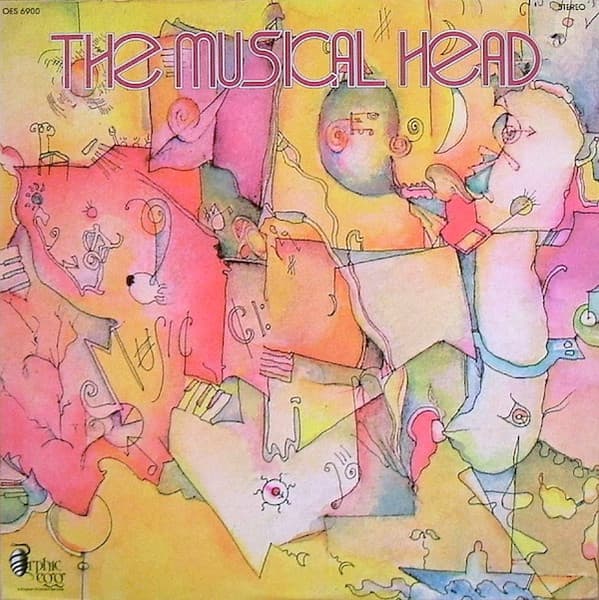 The World Symphony Orchestra – The Musical Head vinyl cover art