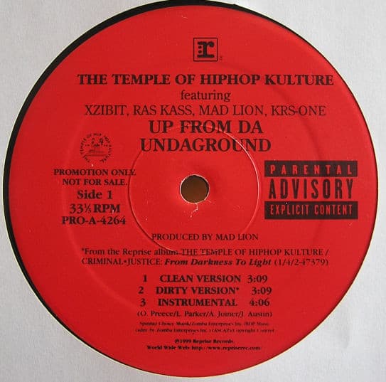 The Temple Of Hiphop – We Gon' Ride vinyl cover art