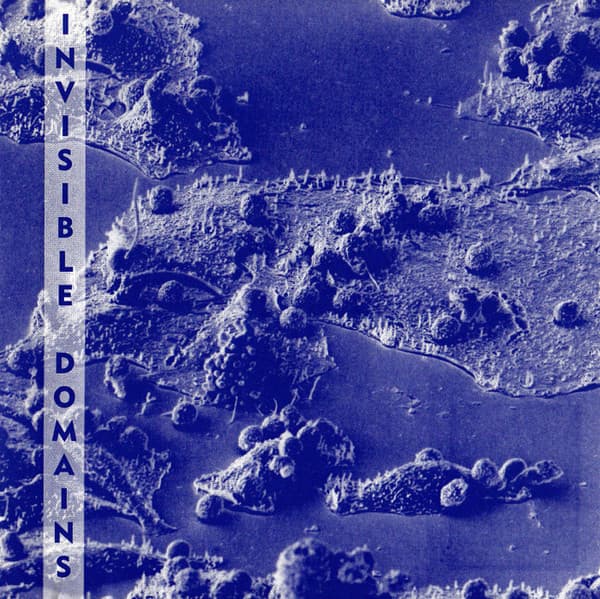 Various – Dark Ambient - Invisible Domains vinyl cover art