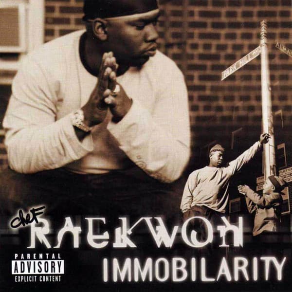 Raekwon – Immobilarity vinyl cover art