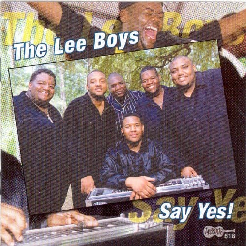 The Lee Boys (2) – Say Yes! vinyl cover art