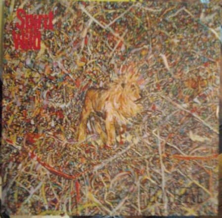 Don Reeve – Spirit Wild vinyl cover art