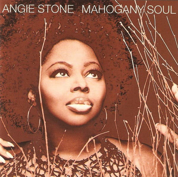 Angie Stone – Mahogany Soul vinyl cover art