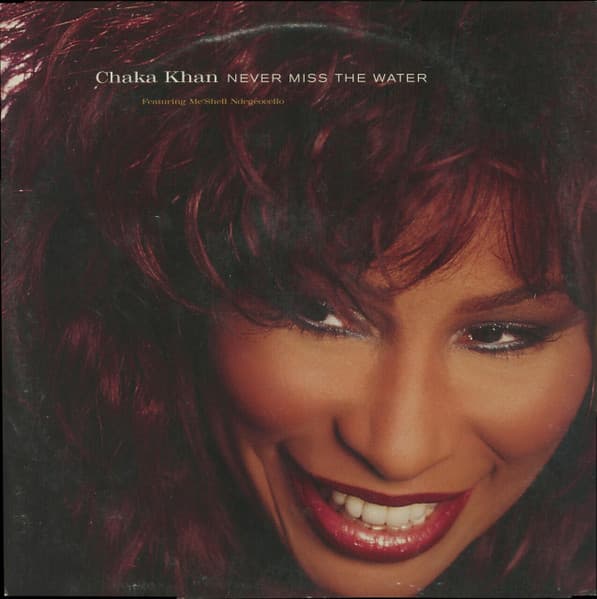 Me'Shell NdegéOcello Chaka Khan – House - Never Miss The Water vinyl cover art