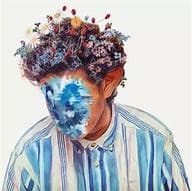 Hobo Johnson – The Fall Of Hobo Johnson vinyl cover art
