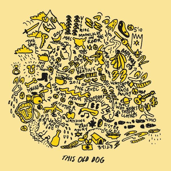 Mac Demarco – This Old Dog vinyl cover art