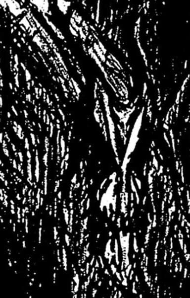 Vlad Tepes – Unknown vinyl cover art