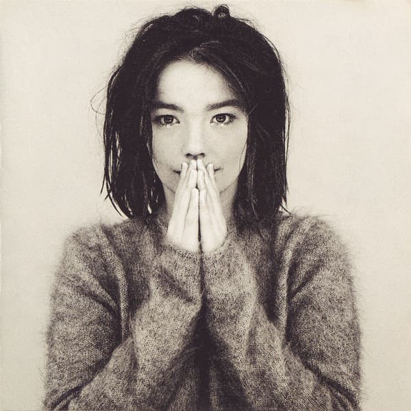 BjöRk – Debut vinyl cover art