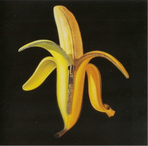 The Dandy Warhols – Welcome To The Monkey House vinyl cover art