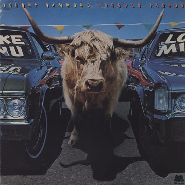 Johnny Hammond – Forever Taurus vinyl cover art