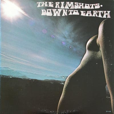 The Rimshots – Down To Earth vinyl cover art