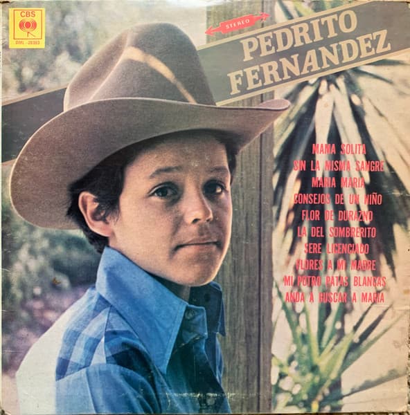 Pedro FernáNdez – Pedrito FernáNdez vinyl cover art