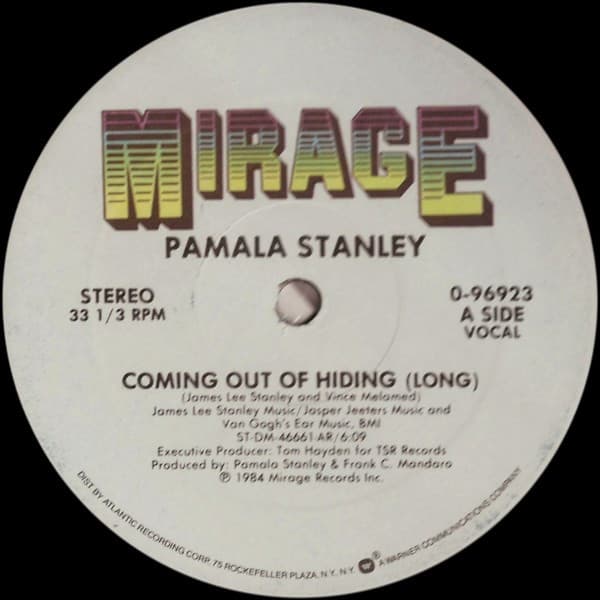 Pamala Stanley – Hi Nrg - Coming Out Of Hiding vinyl cover art
