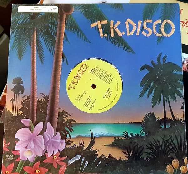 Foxy – Hot Number vinyl cover art