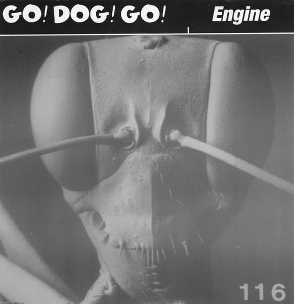Go! Dog! Go! – Engine vinyl cover art