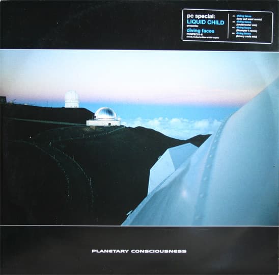 Liquid Child – Trance - Diving Faces vinyl cover art
