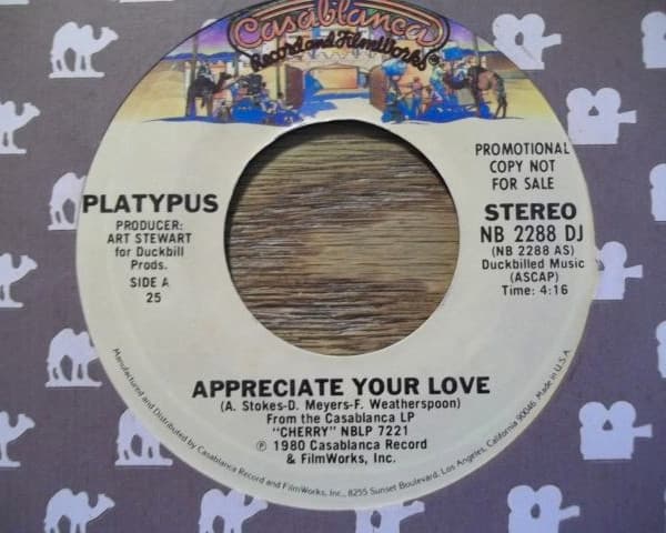 Platypus (2) – Appreciate Your Love vinyl cover art