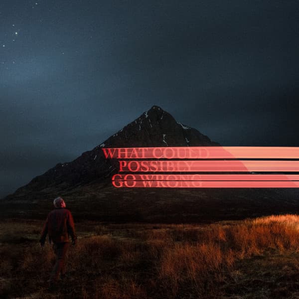 Dominic Fike – What Could Possibly Go Wrong vinyl cover art