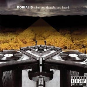 Borialis – What You Thought You Heard vinyl cover art