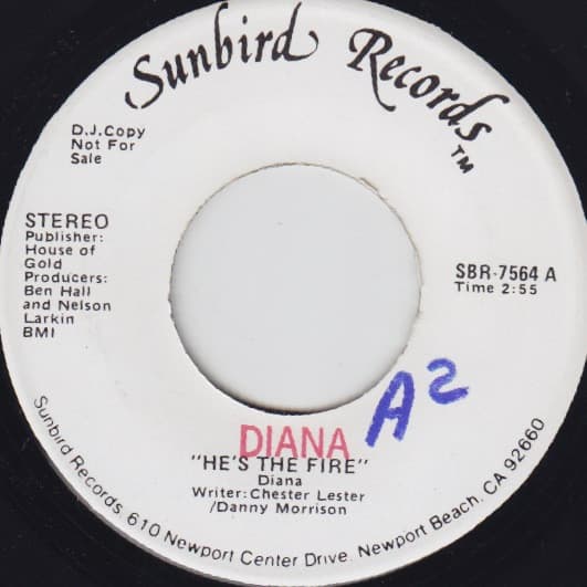 Diana Janson – He'S The Fire vinyl cover art
