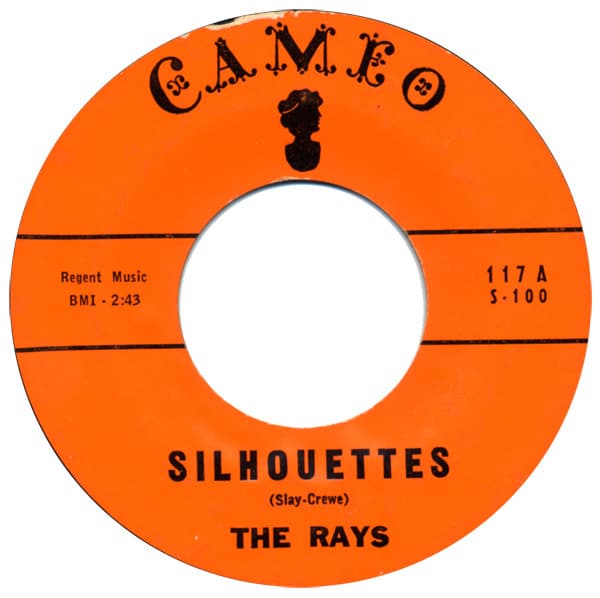 The Rays (2) – Daddy Cool vinyl cover art