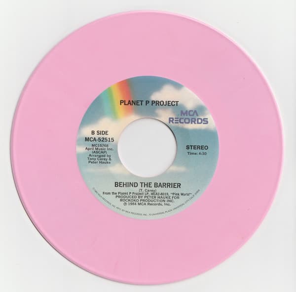 Planet P Project – What I See vinyl cover art
