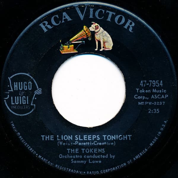 The Lion Sleeps Tonight