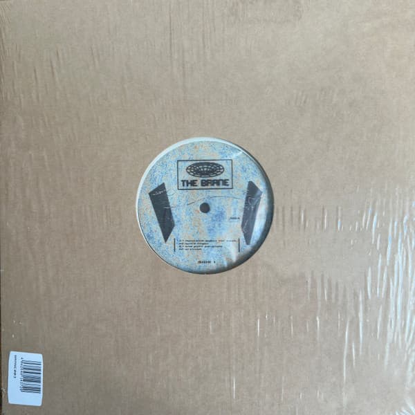 Youandewan – Tech House - The Brane 003 vinyl cover art